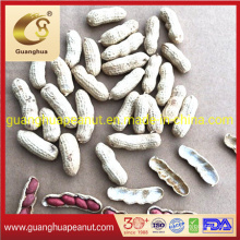 New Crop Raw Red Skin Peanut Kernels